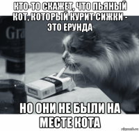 кто-то скажет, что пьяный кот, который курит сижки - это ерунда но они не были на месте кота