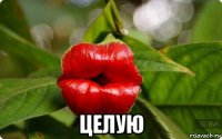  целую