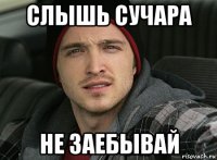 слышь сучара не заебывай