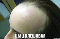  цыц плешивая