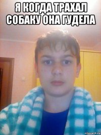я когда трахал собаку она гудела 