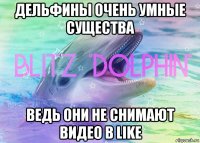 дельфины очень умные существа ведь они не снимают видео в like