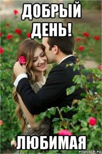 добрый день! любимая