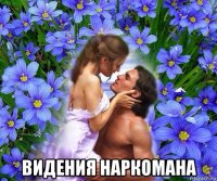  видения наркомана