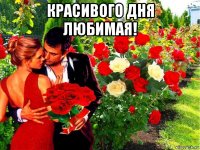 красивого дня любимая! 