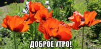  доброе утро!