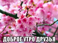  доброе утро друзья
