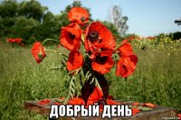  добрый день