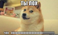 ты лох чоо́оооооооооооооооооооо!!!!!!!!!!!!!!