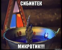 сибинтек микротик!!!