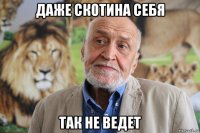 даже скотина себя так не ведет