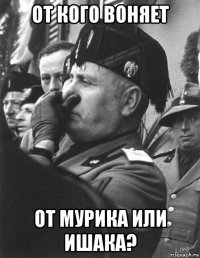 от кого воняет от мурика или ишака?