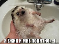  я ёжик и мне понятно. =)