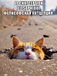 le chatception felisophique. фелисофская котцепция. 