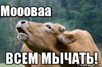  всем мычать!