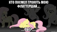 кто посмел тронуть мою флаттершай.... ....ты?.....