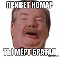 привет комар ты мёрт братан