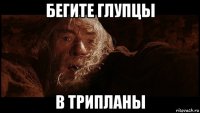 бегите глупцы в трипланы