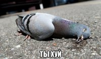  ты хуй