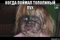 когда поймал тополиный пух 