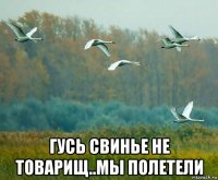  гусь свинье не товарищ..мы полетели