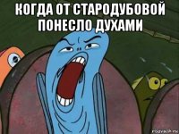 когда от стародубовой понесло духами 