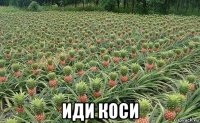  иди коси