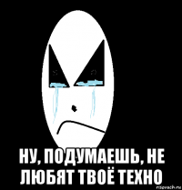 ну, подумаешь, не любят твоё техно