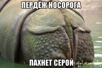 пердёж носорога пахнет серой