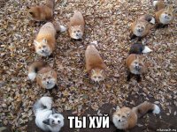  ты хуй