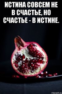 истина совсем не в счастье, но счастье - в истине. 