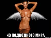  из подводного мира