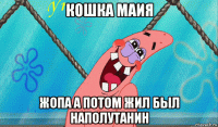 кошка маия жопа а потом жил был наполутанин
