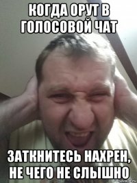 когда орут в голосовой чат заткнитесь нахрен, не чего не слышно