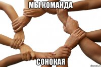 мы команда сонокая