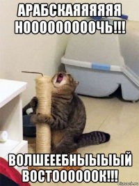 арабскаяяяяяя нооооооооочь!!! волшееебныыыый востоооооок!!!