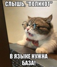 слышь, "поликот" в языке нужна база!