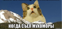  когда съел мухоморы