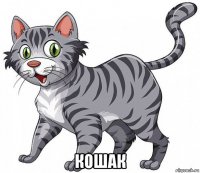  кошак