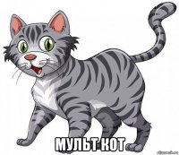  мульт кот