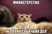 министерство не твоих собачьих дел
