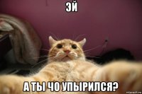 эй а ты чо упырился?
