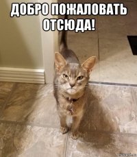 добро пожаловать отсюда! 