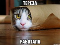 тереза работала