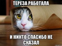 тереза работала и никто спасибо не сказал