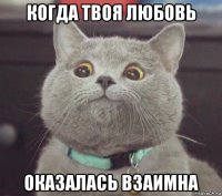 когда твоя любовь оказалась взаимна