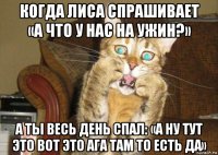 когда лиса спрашивает «а что у нас на ужин?» а ты весь день спал: «а ну тут это вот это ага там то есть да»