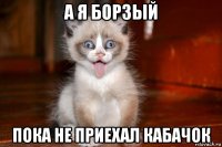а я борзый пока не приехал кабачок