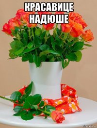 красавице надюше 