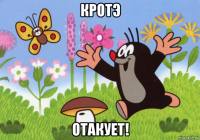 кротэ отакует!